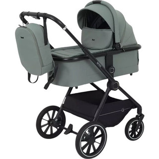 Детская универсальная коляска Rant Moss 2 в 1 / RA321