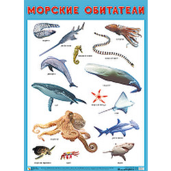 Развивающий плакат Мозаика-Синтез Морские обитатели / МС11706