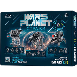 Конструктор QBRIX Kids Стражи 12в3 30037