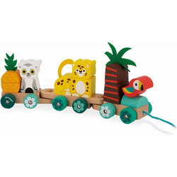 Развивающий игровой набор Janod Тропики J08272