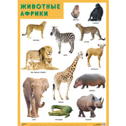 Развивающий плакат Мозаика-Синтез Животные Африки / МС11881