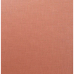 Рулонная штора Lm Decor Лайт LM 30-12C 38x160