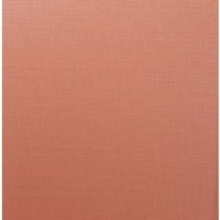 Рулонная штора Lm Decor Лайт LM 30-12C 38x160