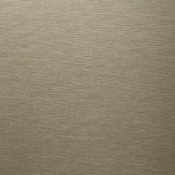 Рулонная штора Lm Decor Камелия LM 49-03 52x160