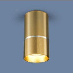 Точечный светильник Elektrostandard DLN106 GU10