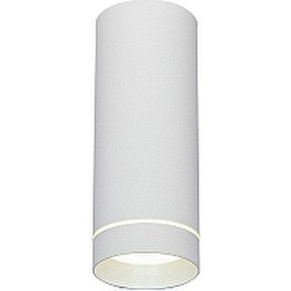 Точечный светильник Elektrostandard DLR022 12W 4200K