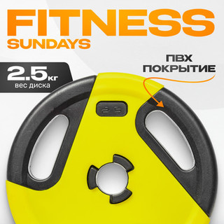 Диск для штанги Sundays Fitness IR91041