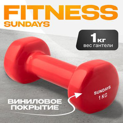 Гантель Sundays Fitness IR92005