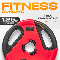 Диск для штанги Sundays Fitness IR91041