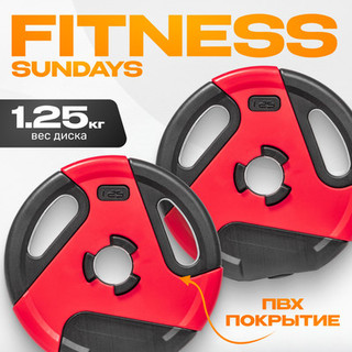 Набор дисков для штанги Sundays Fitness IR91041