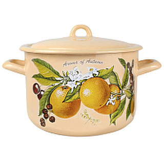 Кастрюля Лысьвенские эмали Фруктовая фантазия / С-16141/4 КмЭ