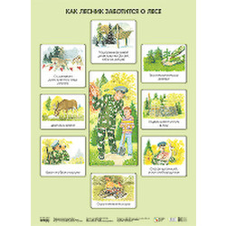 Развивающий плакат Мозаика-Синтез Как лесник заботится о лесе / МС10637