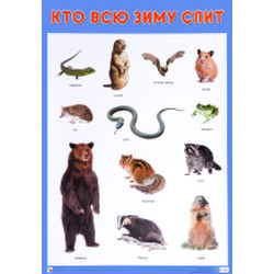 Развивающий плакат Мозаика-Синтез Кто всю зиму спит / МС11638