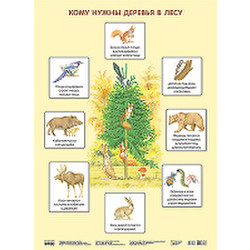 Развивающий плакат Мозаика-Синтез Кому нужны деревья в лесу / МС10638