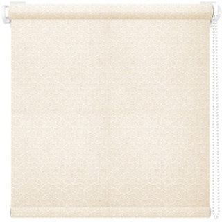 Рулонная штора АС МАРТ Виона 48x160