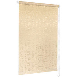 Рулонная штора Delfa Сантайм Жаккард Азия СРШ-01М 25101