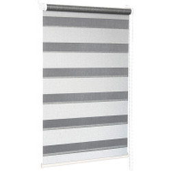 Рулонная штора Delfa Сантайм День Ночь Лагос СРШ-01МК 4482