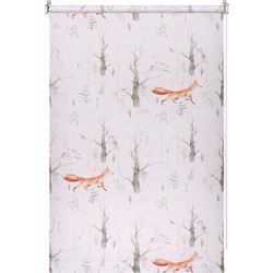 Рулонная штора Franc Gardiner Print Лесные друзья лисы, день 40х160 / 9403217833