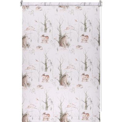 Рулонная штора Franc Gardiner Print Лесные друзья медведи, день 40х160 / 9403219114