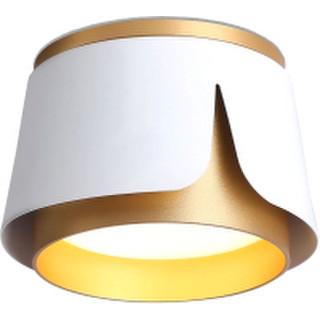 Точечный светильник Ambrella Techno Spot TN71221 WH/GD