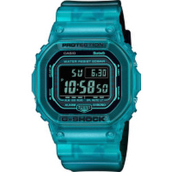 Часы наручные мужские Casio DW-B5600G-2E