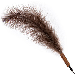 Игрушка для кошек ZooZooZoo Перья Страуса / HM-28-A